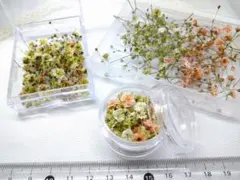 カブ様 リクエスト 2点 まとめ商品