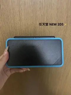 任天堂 Newニンテンドー2DS LL ブラック×ターコイズ 本体