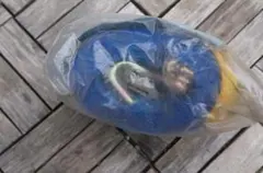 Item thumbnail for item 84998b7a-86be-4c97-8bb0-b28ce6aebb53