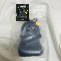 RIIZE ウォンビン トニャンドク ペンライトカバー - メルカリ