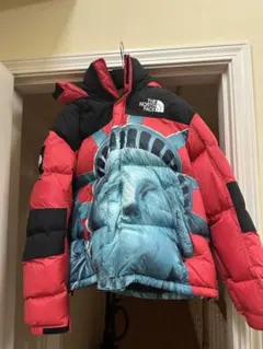 2025年最新】supreme 自由の女神 north faceの人気アイテム - メルカリ