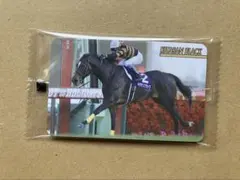 まねき馬　まねき馬倶楽部　競馬カード　ソウルラッシュ まねき馬倶楽部