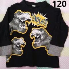 DINOSAUR ロンT120