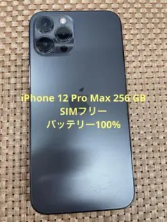 iPhone 12 Pro Max 256 GB グラファイトSIMフリー