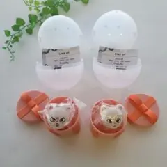 SKZOO ぷくっとバースデークリアリング ジニレット2個セット(水餃子&沼)