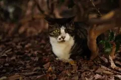 ⭐︎すずね様専用⭐︎