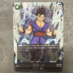 孫悟飯　孫悟空　SH ドラゴンボールヒーローズ  PSA10 PSA10鑑定済み】HG10-01 P孫悟空【スペシャルメモリアルパック