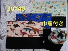 恐竜柄　ランチョン　ハンドメイド　巾着袋付き　３枚セット　30☓40