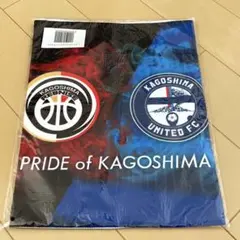 新品未使用✨レア ファイターズ 公式 ユニフォーム 応援グッズ メンズ
