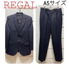 REGALストライプ柄ネイビースーツ☆A5サイズ