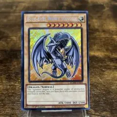 遊戯王【英語版】青眼の白龍 BLMM シク❗️