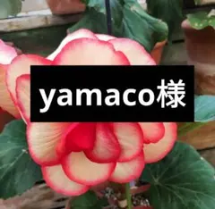 1２／1０発送　　　　　　　　　yamaco様専用