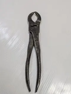 Item thumbnail for item 8b26e0ed-d8c2-4420-9ef5-3f4480ae588e