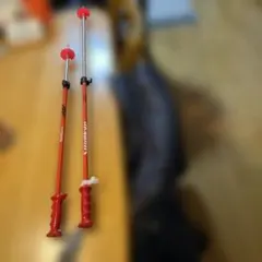 Item thumbnail for item d5e3ca02-0cbe-48a5-a53e-b19f9a5af906