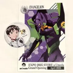 Item thumbnail for item df2c6c43-a0fd-45d1-9dc6-6f900cf73e41