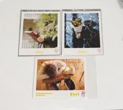 るぅとくん 実写ブロマイド