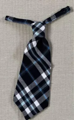 子供用ネクタイ