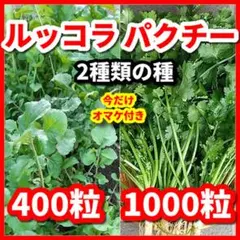 ふーこ様 リクエスト 2点 まとめ商品