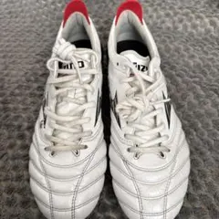 2025年最新】ミズノ モレリア 24.5の人気アイテム - メルカリ