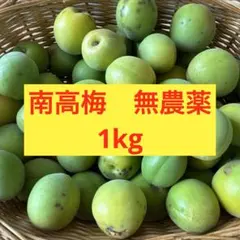 おひさま農園の農薬不使用 青梅 梅1kg - メルカリ