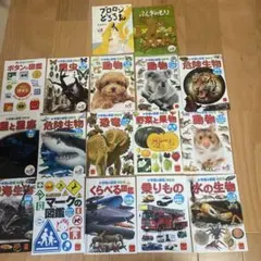 Item thumbnail for item 560bc31d-2ab4-47fe-bbdc-f2ad5ea2b48d