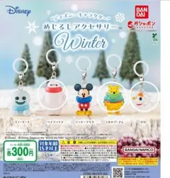 ディズニー めじるしアクセサリー 3種