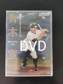 2026年最新】青木宣親の人気アイテム - メルカリ