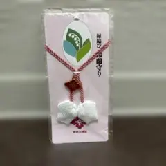 Item thumbnail for item 832bc3e6-1b26-484d-bd67-321a6a6e3118