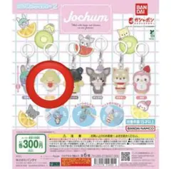 JOCHUM もこ　めじるしアクセサリー