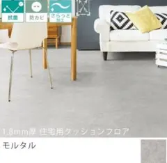 Item thumbnail for item 1ec31add-3874-4867-bf9e-91e3379abb0d