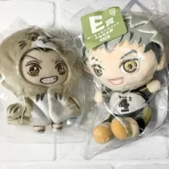 ハイキュー　木兎光太郎　セガラッキーくじラストワン　ぬいもっち