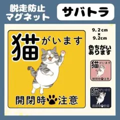 [고등어 타이거] 자석 탈출구 1개, 뛰어내리는 고양이 있음, 주의 고양이, 현관, 실외, 방수