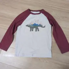 恐竜 110