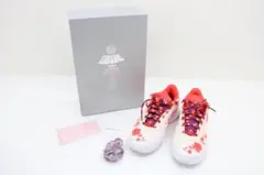 ミミ・プランジ × NIKE レブロン20 PRM 77-EY2511-67