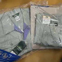 Item thumbnail for item b8448ff8-7ce1-47a0-98a2-e75698efb019