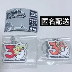 ガチャガチャ ポケモン 30周年 メタルチャームマスコット ヒトカゲ&ピカチュウ