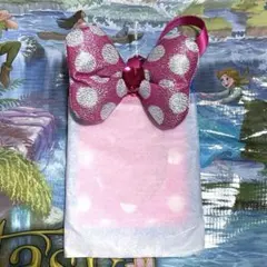 【未使用】パルパルーザ ミニーのファンダーランド カードホルダー ミニパル