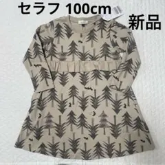 Item thumbnail for item 14f34372-99b3-45c3-973c-209076274b22