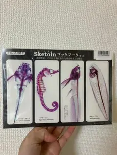 2026年最新】透明標本 魚の人気アイテム - メルカリ