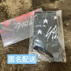 StrayKids アプグレ　靴下・ピクチャーチケット