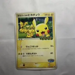 2026年最新】ポケパークのピカチュウの人気アイテム - メルカリ