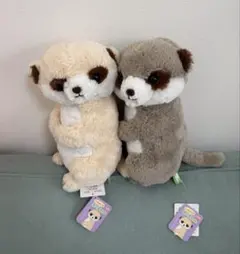 2026年最新】こっちむいてミーアちゃんの人気アイテム - メルカリ