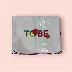 Item thumbnail for item acd24b43-fecb-4816-aeb1-5fb1d2f9bca7