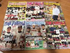 Item thumbnail for item 7033616e-f0bf-49a7-87dd-652f369332a6