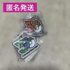 ポケモン 30周年 メタルチャームマスコット めじるし ヒトカゲ　フシギバナ