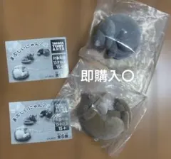 Item thumbnail for item 9fd4d93a-0dc2-4667-ae2e-ce7caf3a01e5