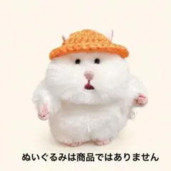 【色変更可能】帽子（オレンジ）