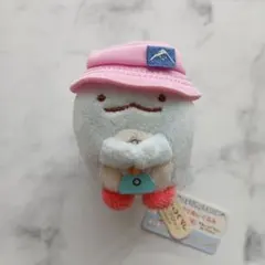 すみっコぐらし てのりぬいぐるみ　とかげ すみっコキャンプ ポーチ付き