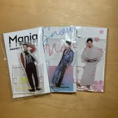 【最終値下げ‼️】Snowman 岩本照 アクスタ