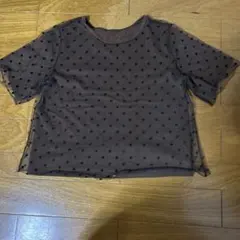 Item thumbnail for item 48a0ce17-1b9d-42cb-b495-d26738a5538d